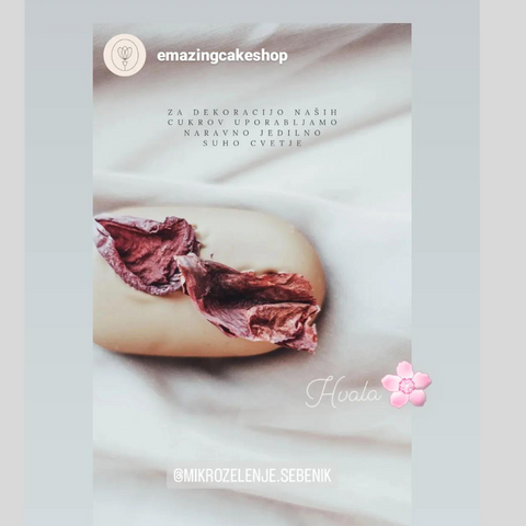 bloomy_potonke