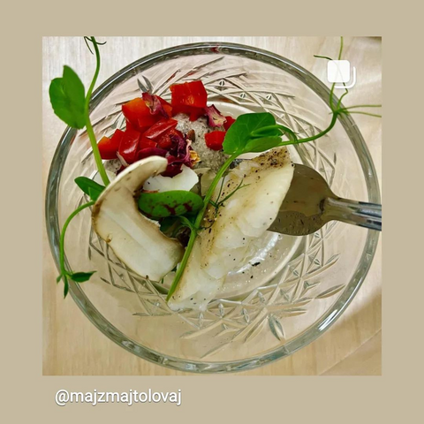 bloomy_vrtnice_rdeči_cvetni_lističi