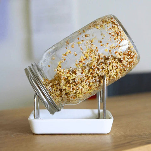 Bio mix semen Müesli