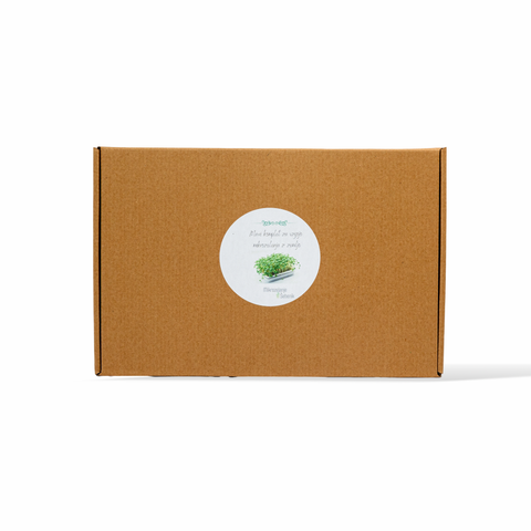 MAXI hobi komplet za domačo vzgojo mikrozelenja (zemlja)