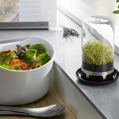 Kalilniki – kateri je pravi zate?