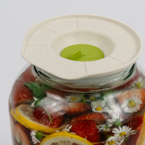 Pokrov za fermentiranje