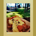 bloomy_modre_plavice