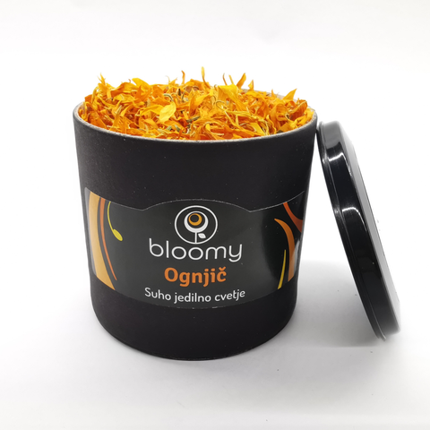 Bloomy - Ognjič oranžen