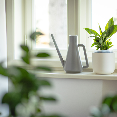 Zalivalka Pierre 1,8 l