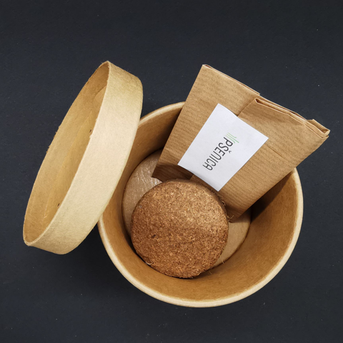 MINI Komplet - Božično žito