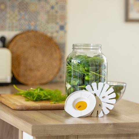 Pokrov za fermentiranje