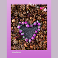 bloomy_roza_popki