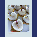 bloomy_rainbow_mix