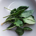 kislica