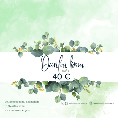 Darilni bon