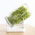 Bio mix semen Green Smoothie