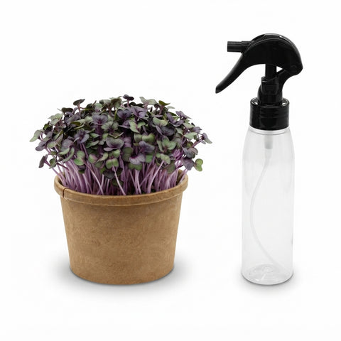 Pršilka (100 ml)