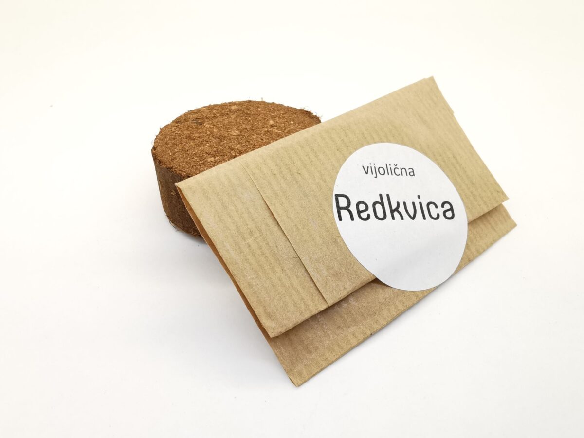 vijolična redkvica