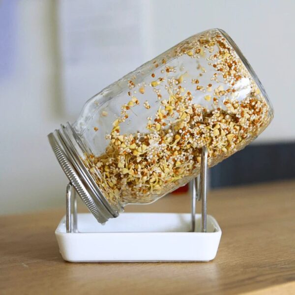 Bio mix semen Müesli